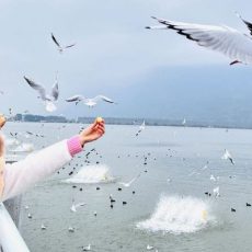 đặt tour côn minh núi tuyết kiệu tử