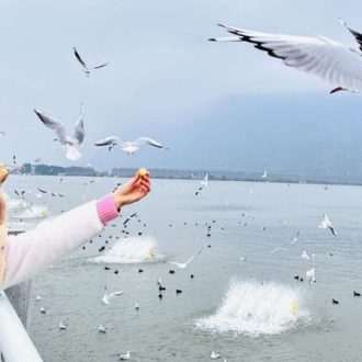 đặt tour côn minh núi tuyết kiệu tử