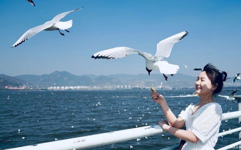 hồ điền trì côn minh