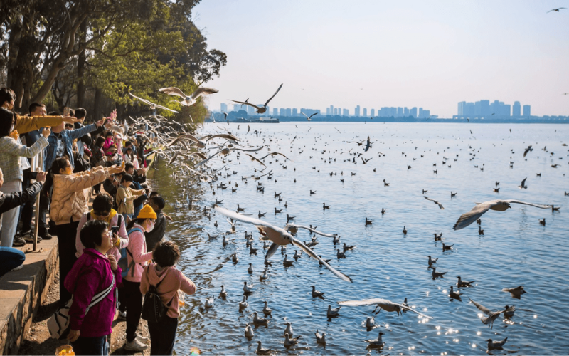 hồ điền trì côn minh