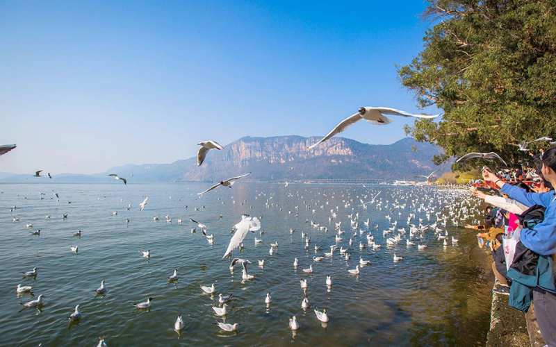 hồ điền trì côn minh