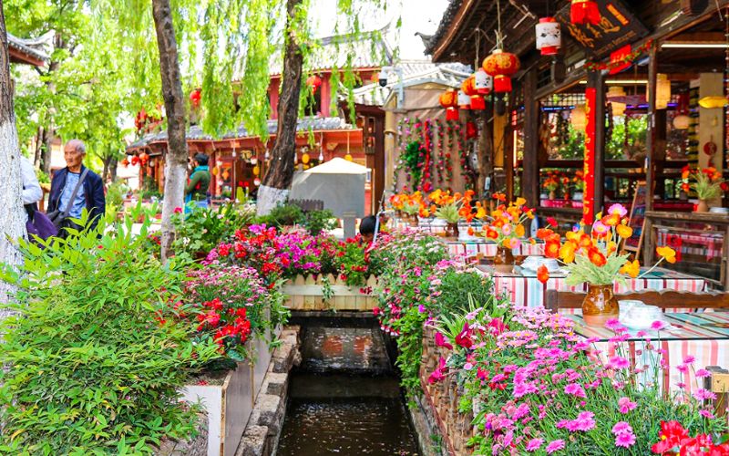 tour trung quốc giá rẻ