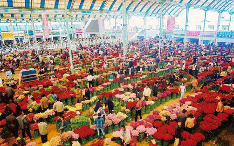 chợ ốc côn minh