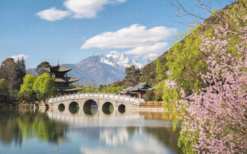 đánh giá tour vân nam tour