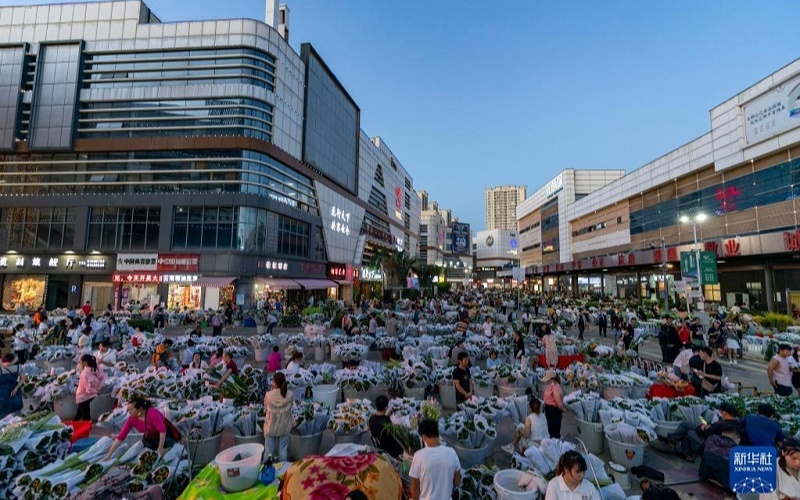 Lịch trình tour 6N5Đ Shangrila – Lệ Giang - Côn Minh