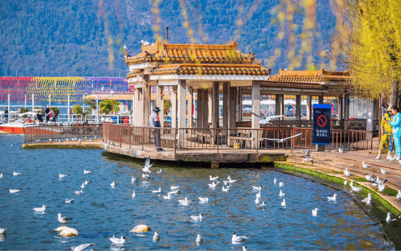 đánh giá tour vân nam tour