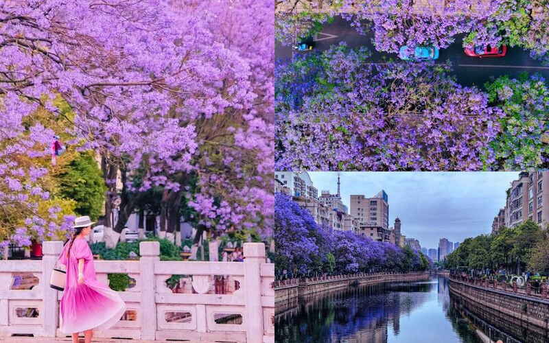 Tips du lịch Côn Minh