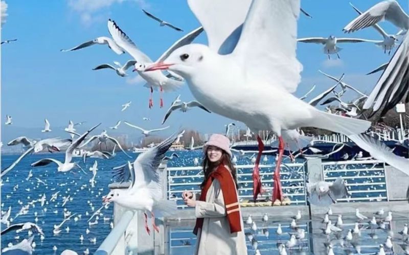 tour côn minh núi tuyết kiệu tử